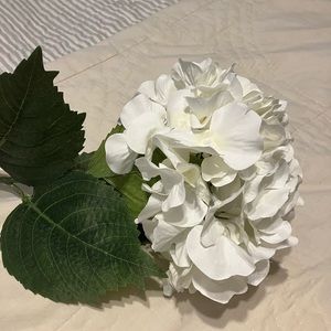 Ashland from Michael’s White Hydrangea Stems Bundle of 11
